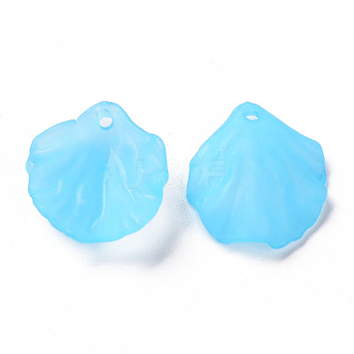 Transparent Frosted Acrylic Pendants MACR-S371-01A-755-1