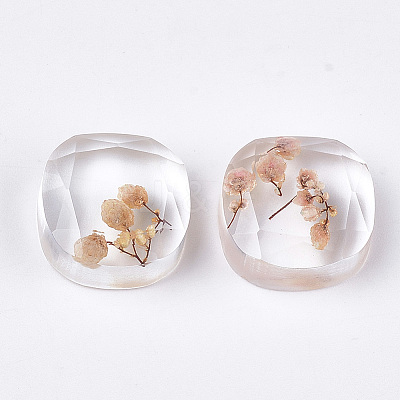 Resin Cabochons CRES-T014-13G-1