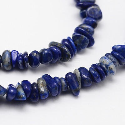 Chips Natural Lapis Lazuli Beads Strands G-N0164-46-1