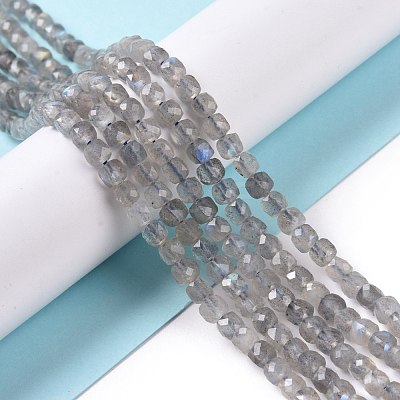 Natural Labradorite Beads Strands G-D0003-B10-1