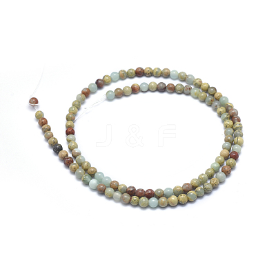 Natural Aqua Terra Jasper Beads Strands G-N0128-48-4mm-1