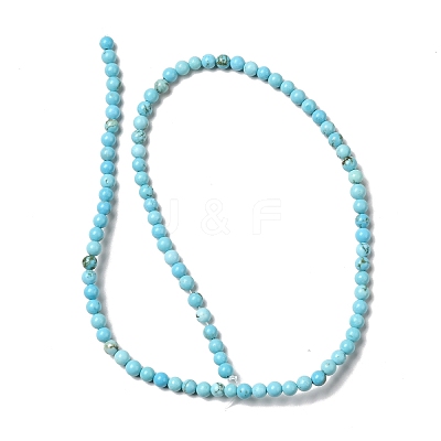 Dyed & Heated Natural Magnesite Beads Strands G-G924-01B-04-1