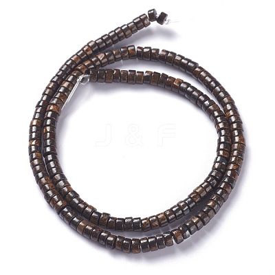 Natural Bronzite Bead Strands G-P444-06B-1