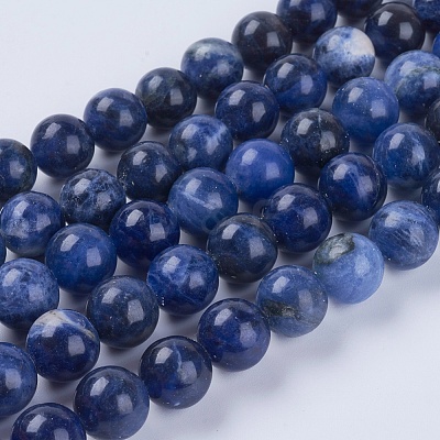 Natural Sodalite Beads Strands G-G515-10mm-07-1