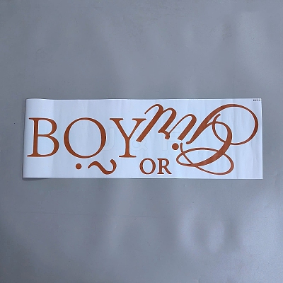 PVC Self-Adhesive Decorative Stickers STIC-WH20010-18-1