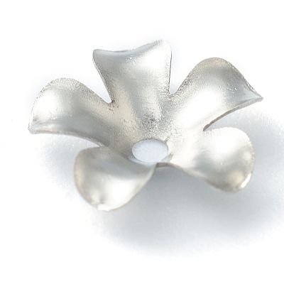 Non-Tarnish 304 Stainless Steel Bead Caps STAS-H149-25P-1