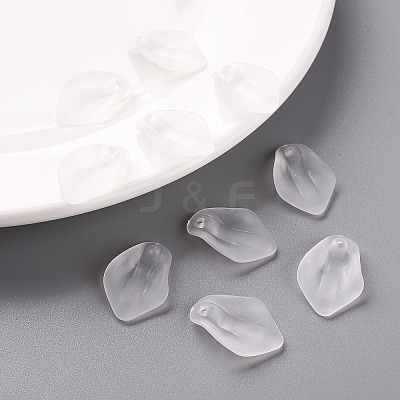 Transparent Frosted Acrylic Pendants MACR-S371-03A-701-1