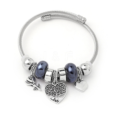 European Style Stainless Steel & Alloy Charm Bangles for Women PW-WG243C0-05-1