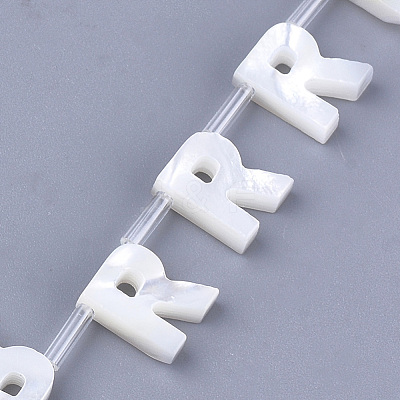 Natural Sea Shell Beads SHEL-T012-60R-1