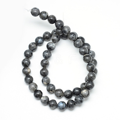 Natural Larvikite Beads Strands X-G-R345-4mm-33-1