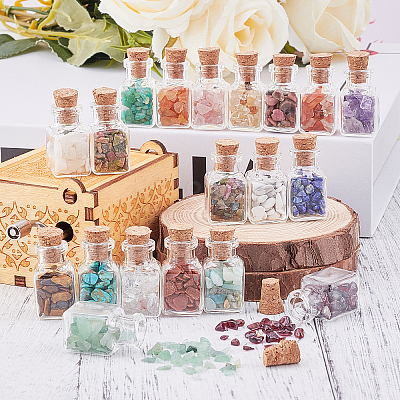 19Pcs Various Gemstone No Hole Chips in Bottles G-PH0034-50-1