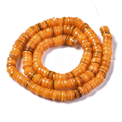 Natural Freshwater Shell Beads Strands X-SHEL-Q024-001H-1
