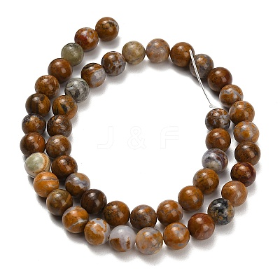 Natural Wealth Stone Beads Strands G-C289-B01-8mm-1