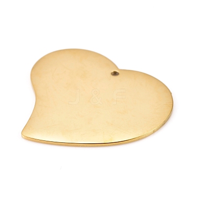 304 Stainless Steel Pendants STAS-L238-100A-G-1
