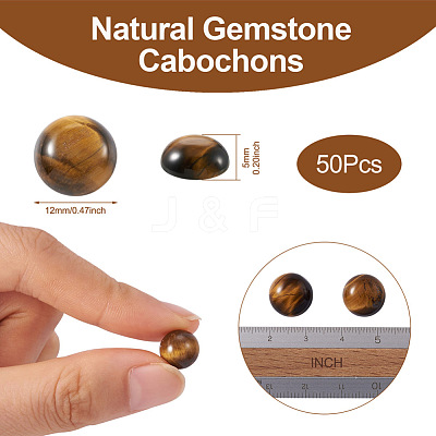 Natural Tiger Eye Cabochons G-R416-12mm-35-1