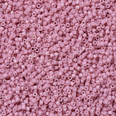 MIYUKI Delica Beads SEED-J020-DB1906-1