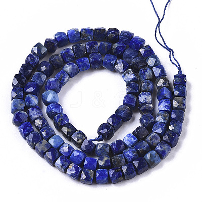 Natural Lapis Lazuli Beads Strands LS-G-R460-038-1