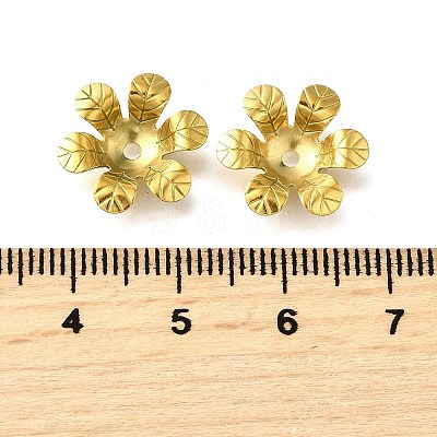 304 Stainless Steel Bead Caps X1-STAS-B087-10E-G-1