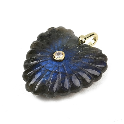 Natural Labradorite Carved Pendants G-C276-01G-06-1