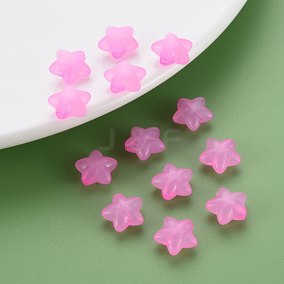 Transparent Acrylic Beads MACR-S373-26E-10-1