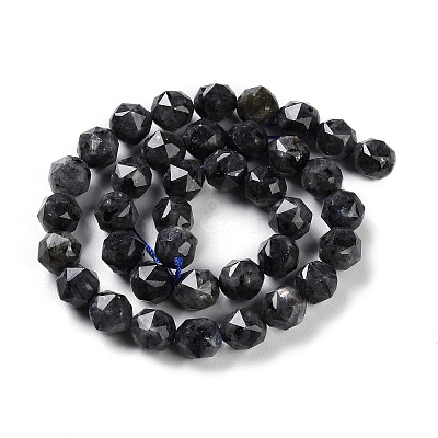 Natural Larvikite Beads Strands G-NH0021-A04-02-1