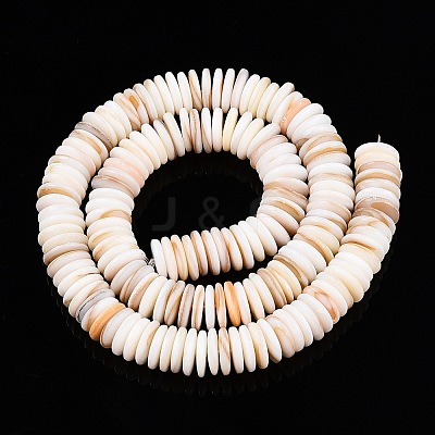 Natural Freshwater Shell Beads Strands X-SSHEL-T017-02-1