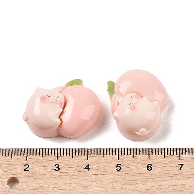Opaque Resin Decoden Cabochons RESI-K040-01D-1