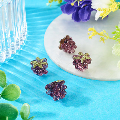 4Pcs Handmade Lampwork Beads LAMP-TA0002-24F-1