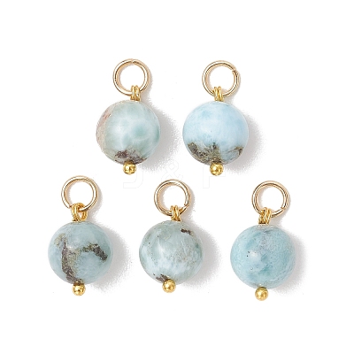 Natural Larimar Pendants PALLOY-JF05255-1