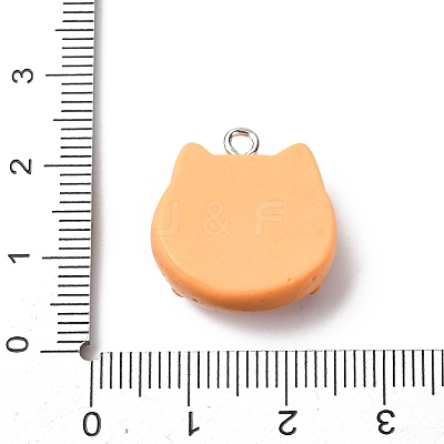 Opaque Resin Pendants RESI-A050-04A-1