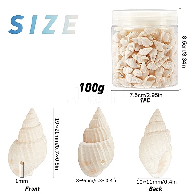 Natural Trumpet Shell Beads BSHE-SC0001-03-1