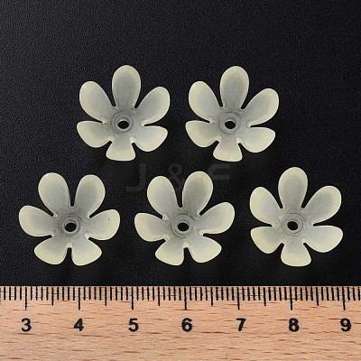 Transparent Acrylic Beads MACR-S373-47-D03-1
