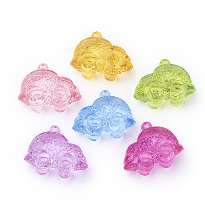 Transparent Acrylic Pendants TACR-T002-15-1