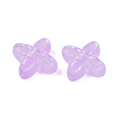 Frosted Transparent Acrylic Beads OACR-P029-09B-04-1