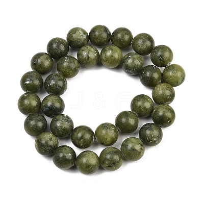 Olive Z0NCT015-1