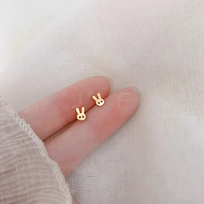Alloy Earrings for Women FS-WG98937-45-1