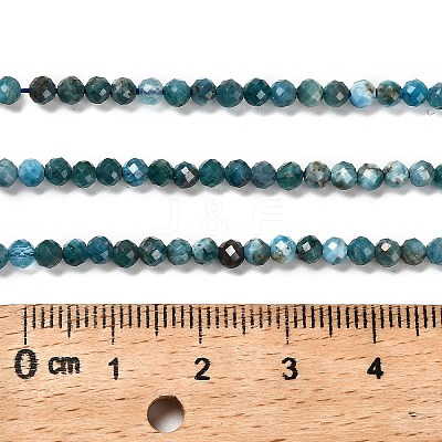 Natural Apatite Beads Strands G-RM2025-28-3.5mm-1