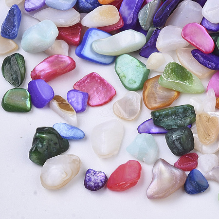 Natural Freshwater Shell Beads X-SHEL-N003-03-1