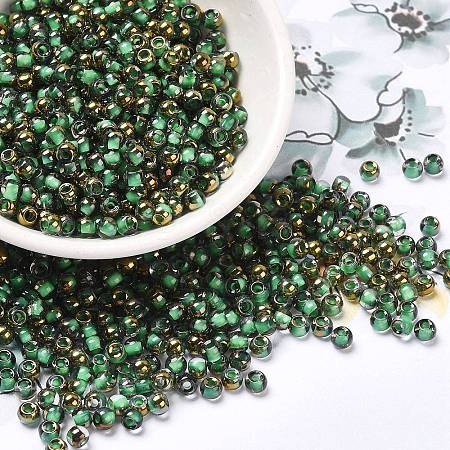 Glass Seed Beads SEED-H002-B-D221-1