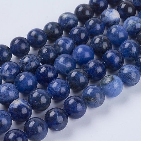 Natural Sodalite Beads Strands G-G515-10mm-07-1