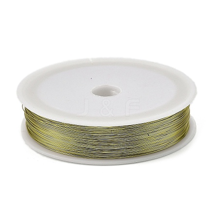 Baking Painted Iron Wire MW-NH0001-02B-1