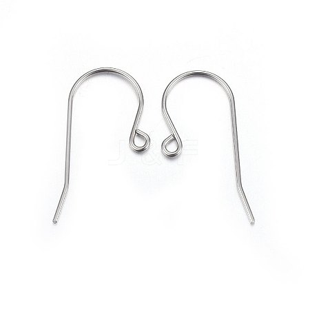 316L Stainless Steel Earring Hooks LS-X-STAS-P210-20P-1