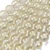 Frosted Transparent Glass Bead Strands GLAA-P065-10mm-01-2