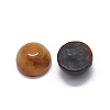 Natural Tiger Eye Cabochons G-O175-23-25-2