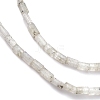Natural Labradorite Beads Strands G-C301-03-3