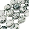 Natural Tree Agate Beads Strands G-NH0068-01-2