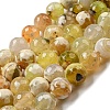 Faceted Natural Fire Crackle Agate Beads Strands X-G-F447-12mm-H01-2