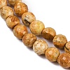 Natural Fire Crackle Agate Beads Strands G-C082-A01-44-4