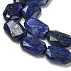 Natural Lapis Lazuli Beads Strands G-P544-B10-01-4