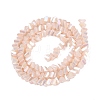 Electroplate Opaque Glass Beads Strands EGLA-Q139-01A-C03-2